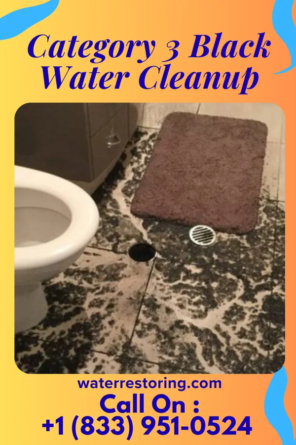 Category 3 Black Water Cleanup in Lowell, OH